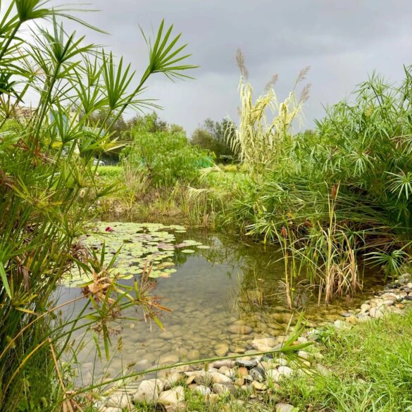 Jardin jean gazignaire