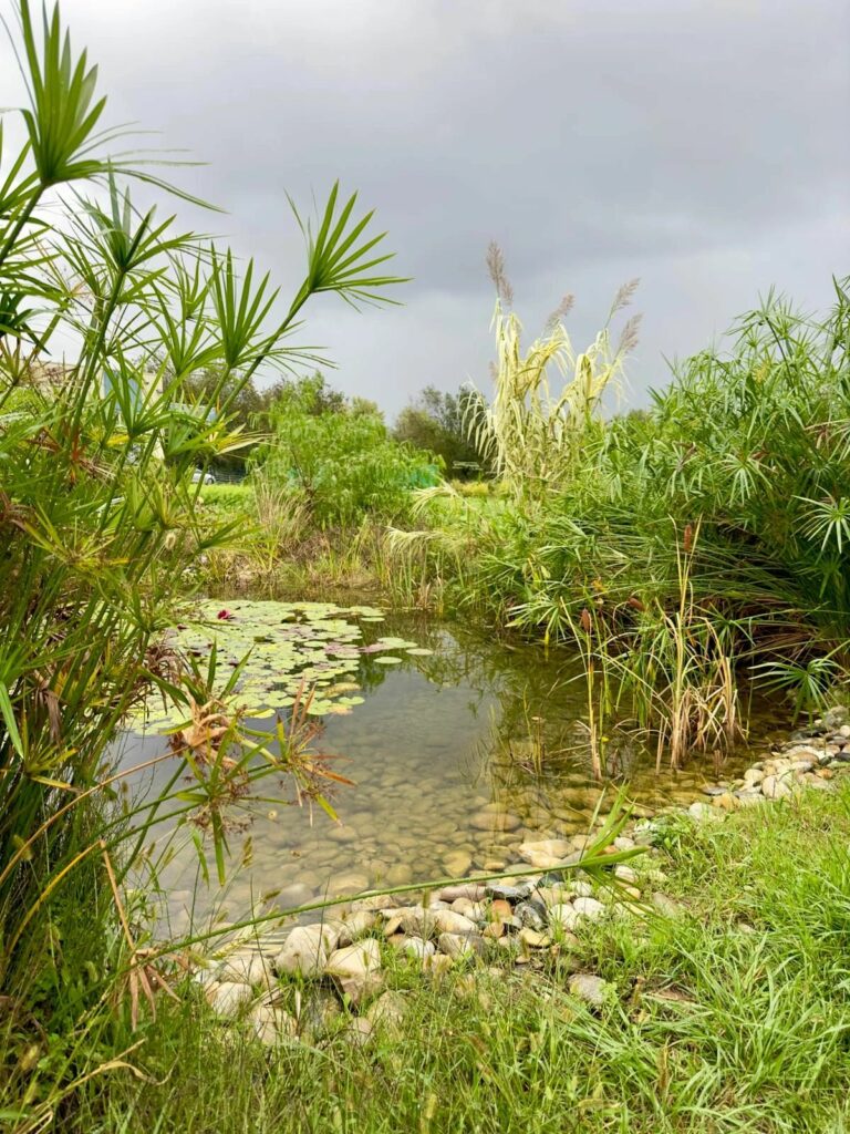 Jardin jean gazignaire
