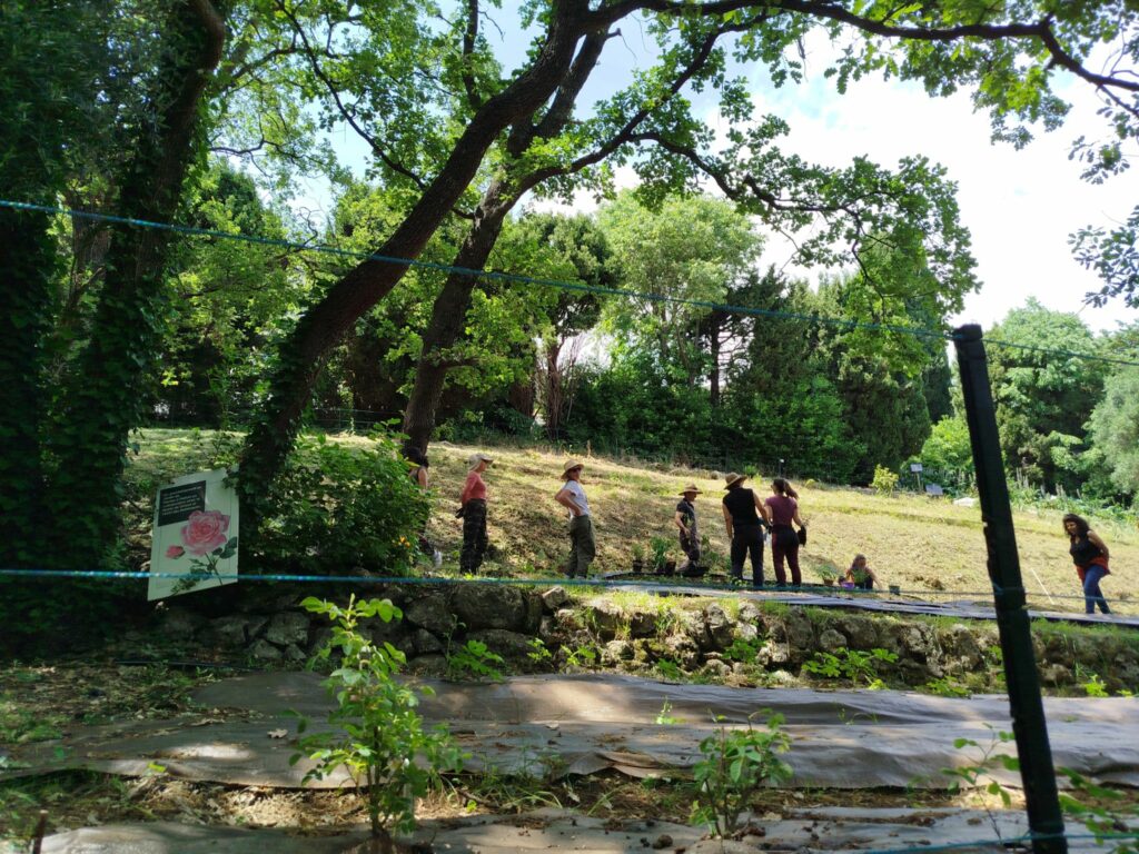 Jardin Plantes à Parfum groupe