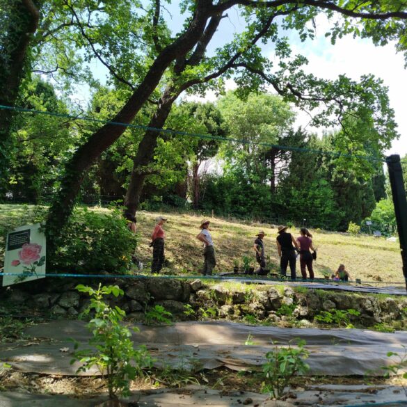 Jardin Plantes à Parfum groupe