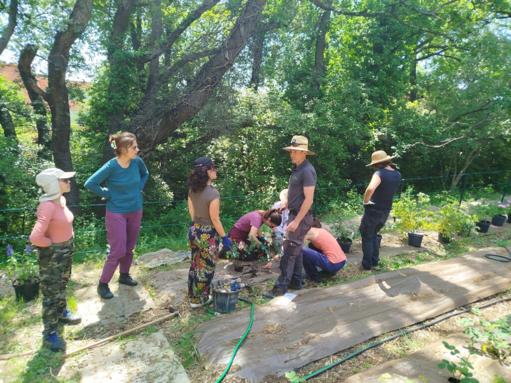 Jardin Plantes à Parfum groupe